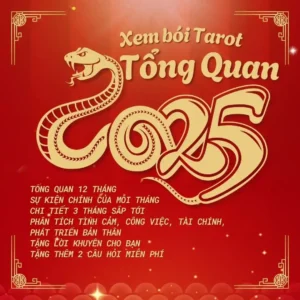 Xem bói Tarot tổng quan 2025 chi tiết từng tháng
